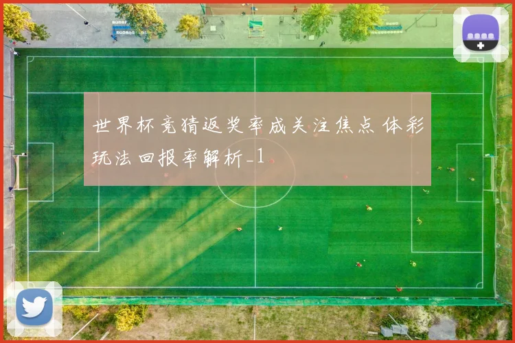 世界杯竞猜返奖率成关注焦点 体彩玩法回报率解析_1