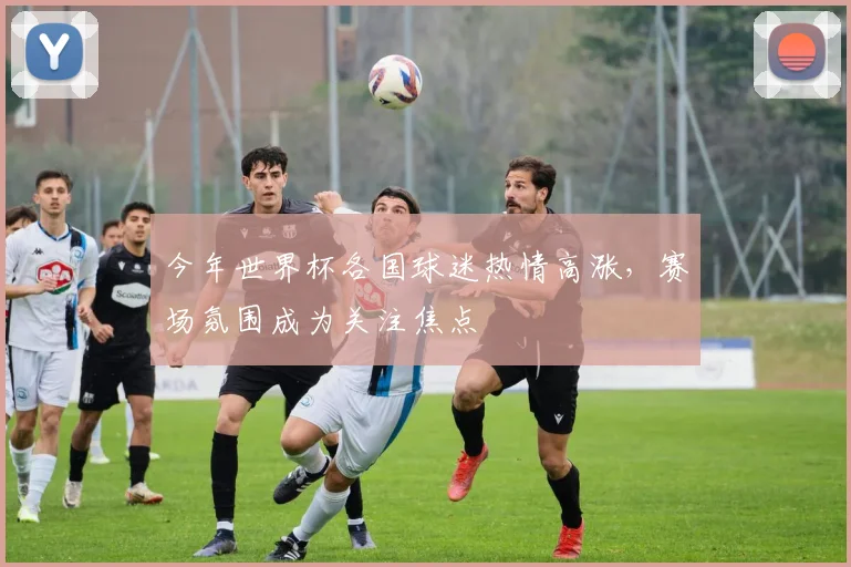 今年世界杯各国球迷热情高涨，赛场氛围成为关注焦点