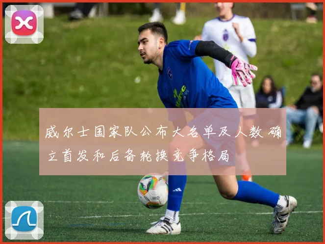 威尔士国家队公布大名单及人数 确立首发和后备轮换竞争格局