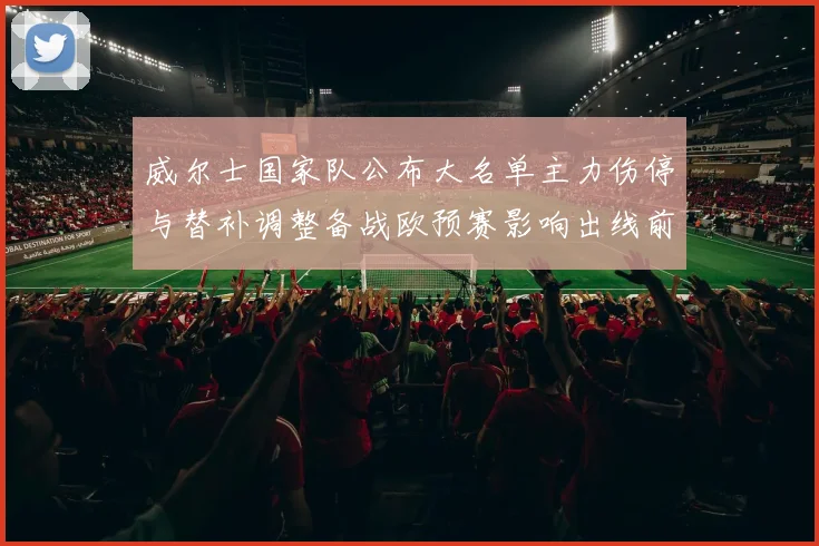 威尔士国家队公布大名单主力伤停与替补调整备战欧预赛影响出线前景