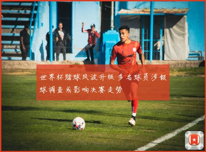 世界杯赌球风波升级 多名球员涉假球调查或影响决赛走势