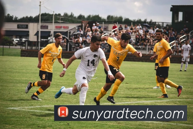 f8体育官网登录入口品牌故事